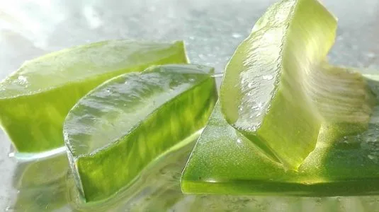 I benefici del Gel Aloe Snep per pelle e capelli