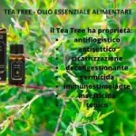 Olio essenziale tea tree