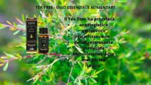 Olio essenziale tea tree