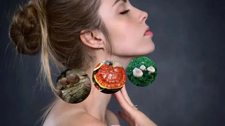 Tiroide e micoterapia