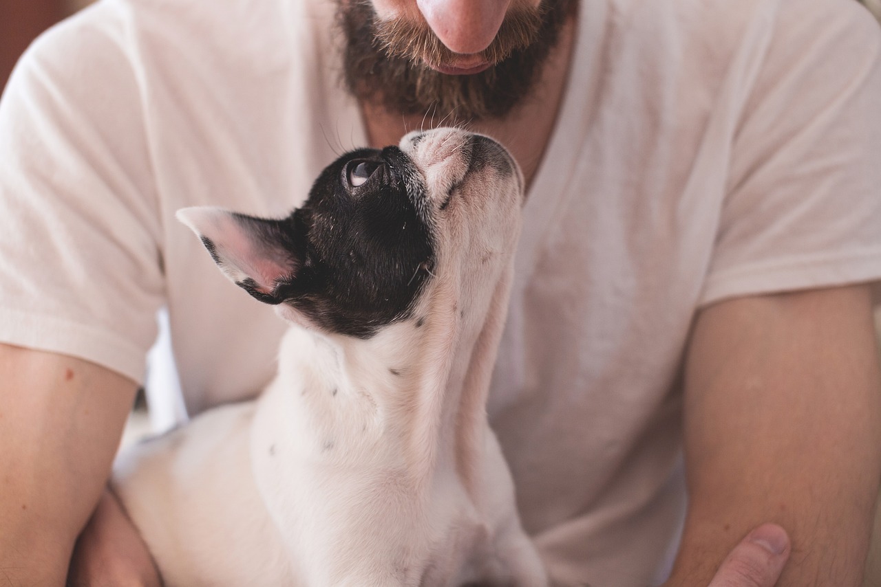 Pulizia della Casa e Animali: Come Mantenere la Tua Casa Pulita Senza Rinunciare ai Tuoi Amici a Quattro Zampe