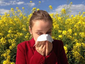 Allergie primaverili quali sono?