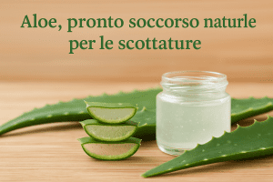 Aloe per le scottature