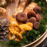 Maitake