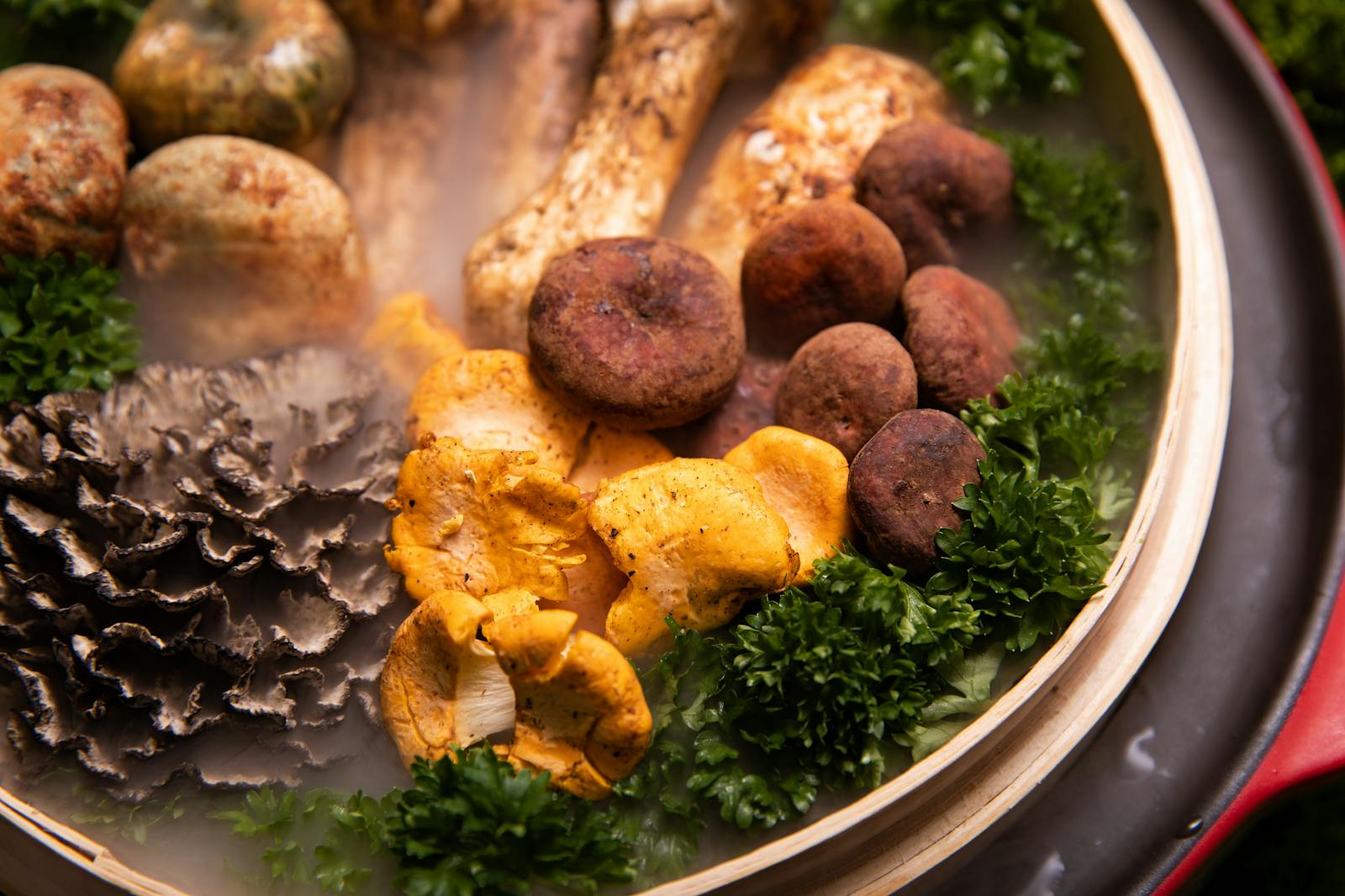 Maitake