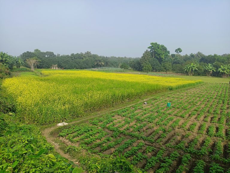 Microrganismi: come utilizzarli in agricoltura naturale