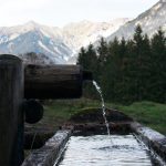 Acqua del rubinetto o in bottiglia