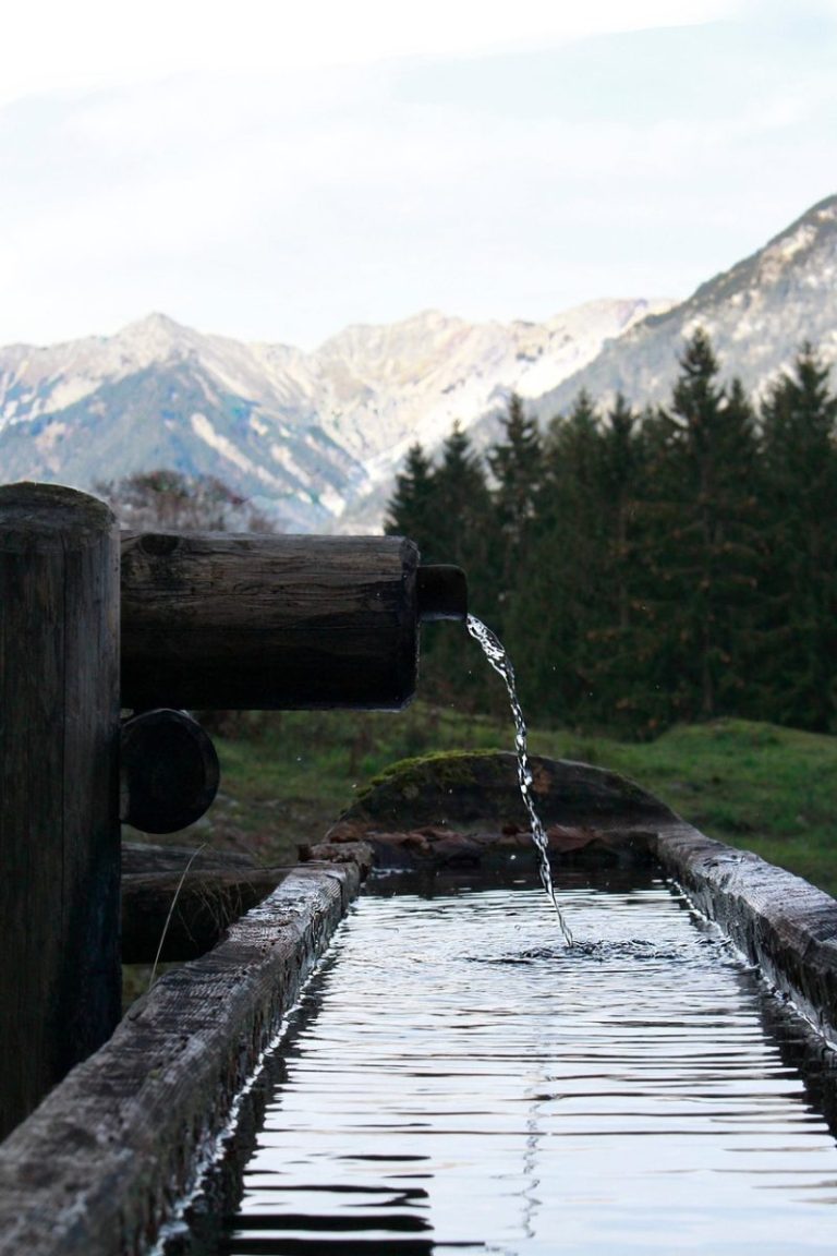 Acqua del rubinetto o in bottiglia