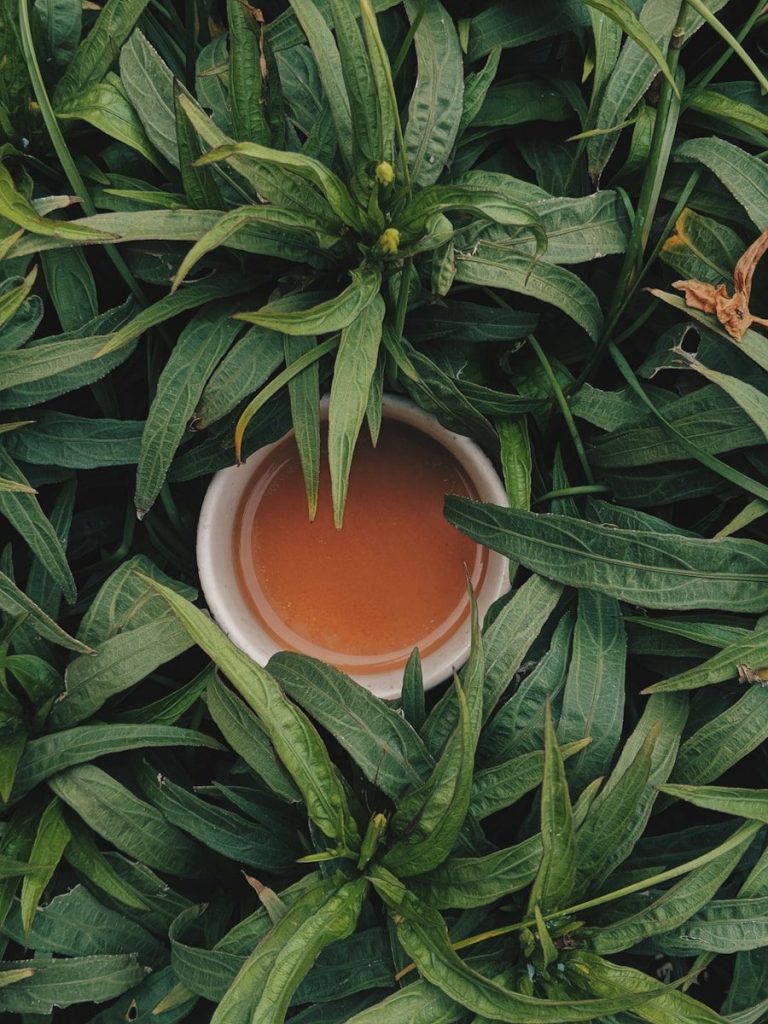 olio essenziale tea tree