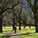 guida sport movimento stile di vita